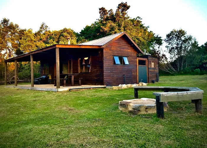 Pura Vida Forest Cabin