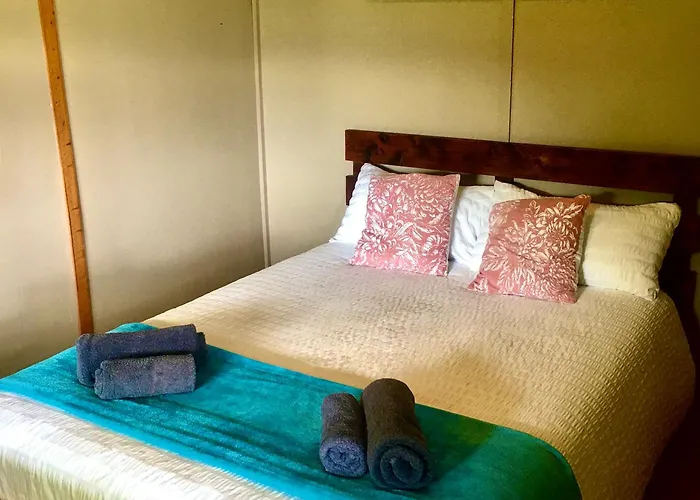 Pura Vida Forest Cabin
